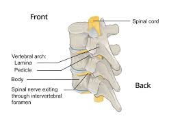 This is usually achieved using js templates like underscore templates, mustache, handlebars etc. Severe Leg Pain After Spinal Fusion Causes Solutions