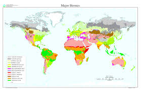 Biomes In The United States World Major Biomes 2000 Biomes Deserts Of The World Vulnerability