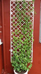 Trelica Em Ferro Jardim 2 00 X 0 80 M No Elo7 Ferro E Verde 868d01 Jardim Vertical Diy Design De Jardim Vertical Decoracao De Varanda Pequena