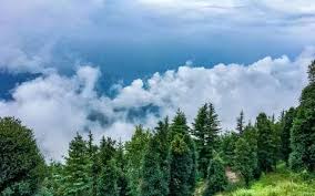 माशोबरा पर्यटन एवं यात्रा गाइड | थ्रिलोफिलिया