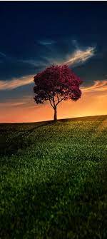 Pin By Rony Tigerian On Spectacular View Desktop Wallpaper Art Scenery Wallpaper Landscape Photography