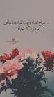 قلوب فتيات