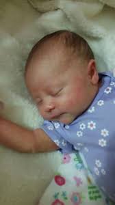 Melissa Quiles (@melissaiquiles)