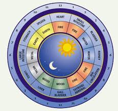 i like this circadian rhythm chart a lot too chinese body