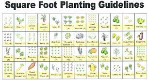 4x8 Raised Bed Vegetable Garden Layout Raised Bed Getable Garden Layout 4 8 Raised B Garden Layout Vegetable Raised Bed Vegetable Garden Layout Garden Planning