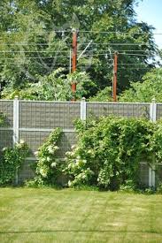Berankte Larmschutzwand Mit Blumen Larmschutzwand Garten Haus Und Garten Garten