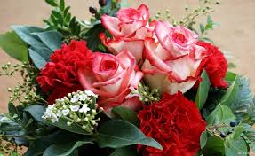 صور ورد حب الحب واجمل هدايا الورود للتعبير عن الحب احساس ناعم