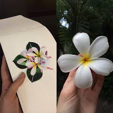 Sasha Unisex C Sashaunisex Instagram Photos And Videos Sasha Unisex Frangipani Tattoo Plumeria Tattoo