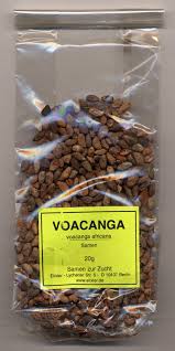 Image result for Voacanga pachyceras