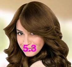 Pin By Fam Victorious On Coif Hair Styles Beauty Hair