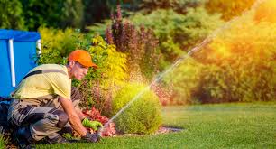Luxe cleaning and remodeling, lee brothers and sons, inc., affordable landscaping, nlk landscaping and snow removal, llc, uncle bobby's lawn care. Your Guide To The Best Lawn Care Companies Lawnbright