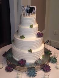 Succulent Rustic Wedding Cake Rustic Wedding Cake Wedding Cakes Fun Wedding