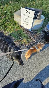 St. Matthews Matters news and events