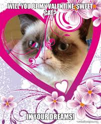 ❤ if you need a purrfect gift for that someone special, you can check out my beautiful jewelry collections yo. Will You Be My Valentine Sweet Cat In Your Dreams Grumpy Cat Valentines Day Make A Meme