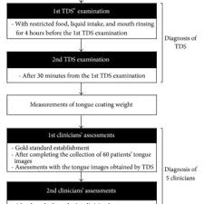 Flow Chart Of The Trial Tds Tongue Diagnosis System