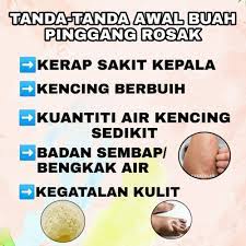We did not find results for: Tanda Tanda Awal Buah Bio Lingzhi Sihat Tubuh Badan Facebook