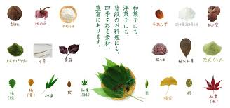 笹の葉なら小林多男商店 つまもの販売 笹 柏 朴 紅葉 桜の葉など 多彩な品揃え