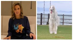 Confira as datas das próximas feiras de adoção de cães e gatos do instituto luisa mell. 8kuvgzzdrymtkm