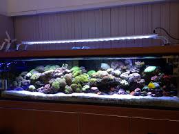 Amazing Aquarium With Our 180cm 72inch Led Aquarium Light That Is Coooooloooook Amazing Aquariums Aquarium Saltwater Aquarium