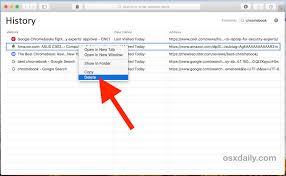 Clearing your browsing history deletes the following: How To Delete Specific Safari History On Mac Osxdaily