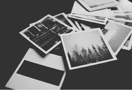Instagram Tumblr Aesthetic Black And White Quotes Polaroid Trees Blackandwhite Black White Blackwhiteaesthetic Aesthetic Pinterest Tumblr Newt Black Aesthetic Black And White Aesthetic Gray Aesthetic
