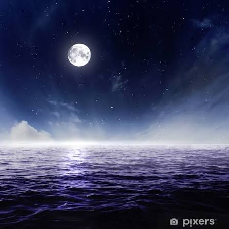 Wall Mural Full moon in night sky over moonlit water - PIXERS.US