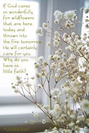 As a flower of the field, so he flourisheth. Pin On My Personal Faith Designs