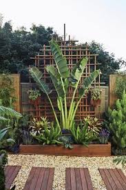 Jun 03, 2015 · more gardening inasirption! Small Bamboo Garden Ideas 10 Bamboo Landscaping Ideas Garden Lovers Club Growing Hydroponic Plants In Water Recipes Euro Food