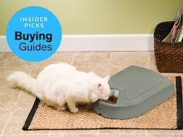 This best automatic cat feeder from petsafe healthy pet is like the mega sized of the lot! The Best Automatic Pet Feeders In 2019