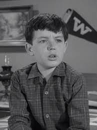 Leave It to Beaver: Season 3, Episode 32