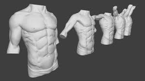 The torso or trunk is an anatomical term for the central part, or core, of many animal bodies (including humans) from which extend the neck and limbs. Moving Male Torso Anatomy Buy Royalty Free 3d Model By Caterina Zamai Caterina Zamai D54f23a