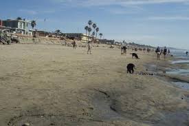 Dog Friendly Beaches in Carlsbad, CA - BringFido