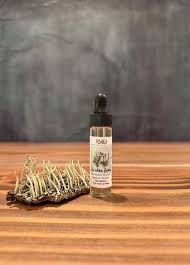 Image result for Hymenophyllaceae