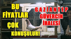Bu Fiyatlar Cok Konusulacak Gaziantep Guvercin Ihalesi 2 Part Youtube