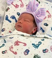 Beyond the Academy Summer 2024 by Regal Gryphons