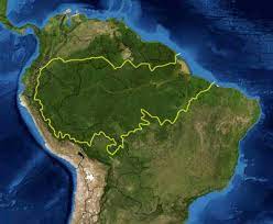 Mächtiger regenwald, imposanter fluss, indianer, abenteuer, verblüffende tiere & pflanzen. Amazonas Regenwald Wikipedia