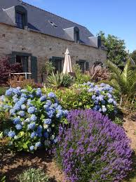 Epingle Par Sharon Secor Sur Jardin Et Exterieur De La Ferme Saint Vennec Photo De Maison Gites De Charme Jardin Exterieur