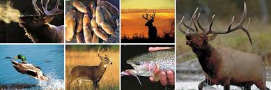 3 active dick's sporting goods voucher codes & coupons. Bob S Sporting Goods Home Facebook