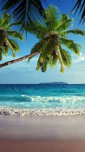 13 photos · curated by elizabeth meuser. Tropical Island Wallpaper Iphone 1080x1920 Wallpaper Teahub Io