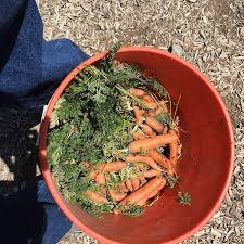 It will be unique in its structure of service. Photos At St Vincent De Paul Phoenix Dining Room Cafeteria In Central City