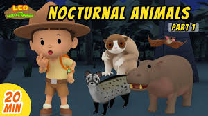 African hunting dog • american porcupine • armadillo • badger • bat beaver • bush baby • cat • coyote • deer • deer mouse • owl monkey • firefly you can also learn all about these creatures in our nocturnal animals activity box. Nocturnal Animals Minisode Compilation Part 1 2 Leo The Wildlife Ranger Animation For Kids Youtube