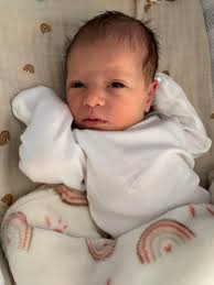 Trisha Metz: Wedding & Special Events Consultant