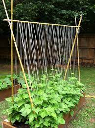 25 Functional Diy Cucumber Trellis Ideas Vegetable Garden Trellis Diy Garden Trellis Garden Trellis
