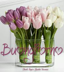 Buon compleanno con fiori e frasi archives invito elegante. Buongiorno Con I Fiori Raccolta Delle Migliori Immagini Bgiorno It