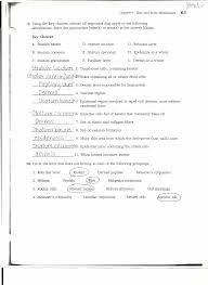 Anatomy and physiology coloring workbook answer key chapter 3 by dante bernhard july 17. Anatomy And Physiology Coloring Workbook Answers Chapter 2
