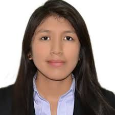 Andre Efrain Ulloa Cajacuri