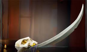 This item is available for purchase during the bilge rat event. Top 15 Best Weapons In Sea Of Thieves Fandomspot