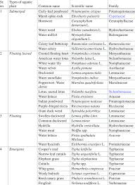 Image result for Hemarthria natans