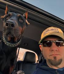 Ams mumther is scared by loud noise so ams jump in herz lap to protecc  herz. Ams Lily the guard pupper.