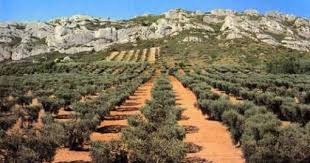 Tourisme Dans Les Bouches Du Rhone Paysage De Provence Tourisme En France Les Regions De France